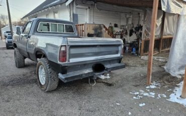 Unknown-W100-1975-Gray-Blue-1
