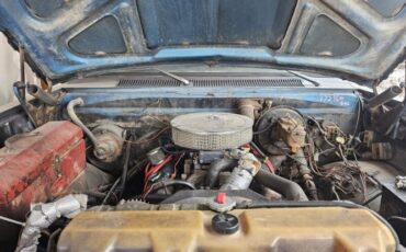 Unknown-W100-1975-Gray-Blue-2