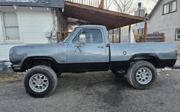 Unknown-W100-1975-Gray-Blue-3