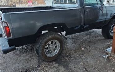 Unknown-W100-1975-Gray-Blue