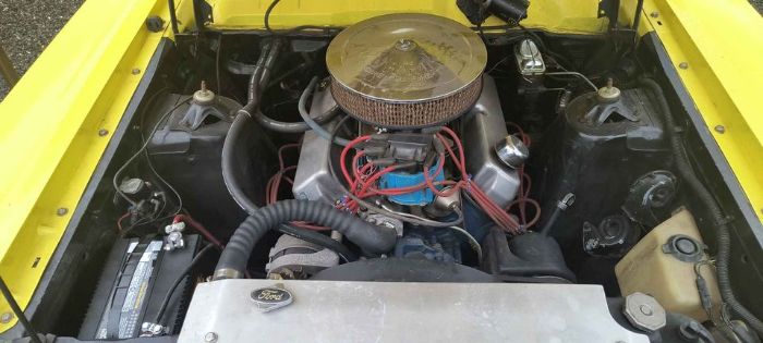 Unknown-Wagon-1967-Yellow-Black-2