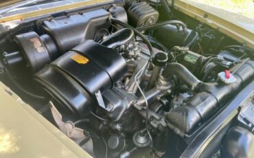 Unknown-Windsor-1958-Bamboo-YellowErmine-Tan-15