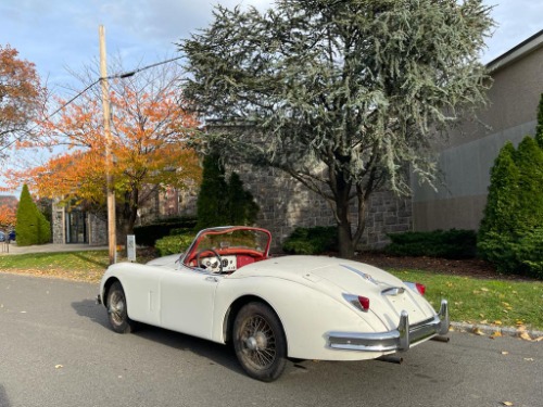 Unknown-Xk-150-1959-White-Red-5