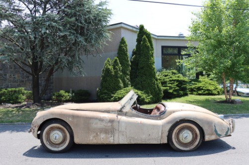 Unknown-Xk120-1950-Ivory-Red-3