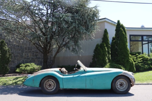 Unknown-Xk120-1953-Green-Black