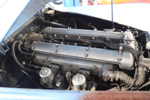 Unknown-Xk120-1954-Blue-Black-7