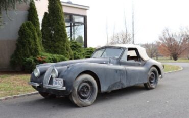 Unknown-Xk120-1954-White-Black-10