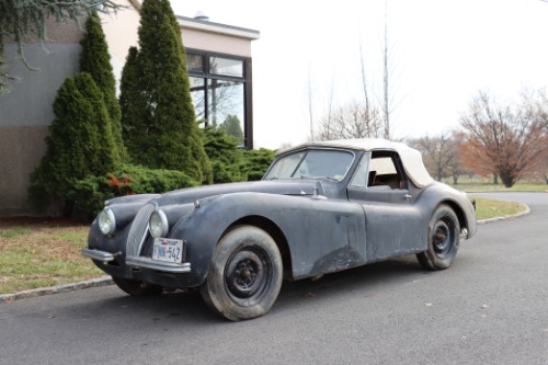 Unknown-Xk120-1954-White-Black-10