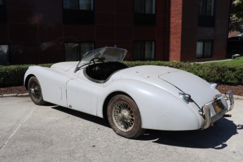 Unknown-Xk120-1954-White-Black-2