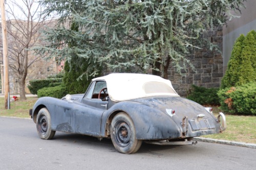 Unknown-Xk120-1954-White-Black-8