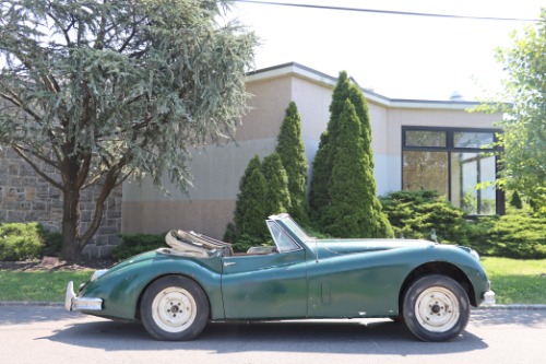 Unknown-Xk140-1956-Green-Gray-2