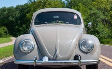 Volkswagen-Beetle-1952-Pearl-Gray-Gray-2