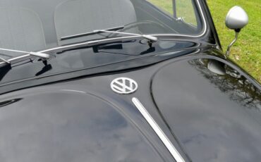 Volkswagen-Beetle-1959-Black-Blue-49