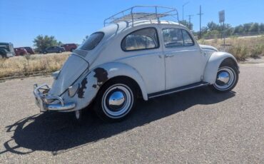 Volkswagen-Beetle-1961-White-5