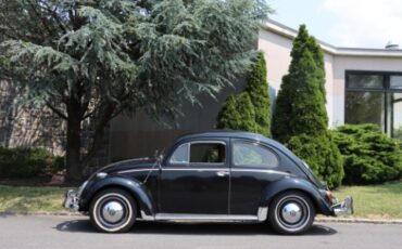 Volkswagen-Beetle-1963-Black-Black-6