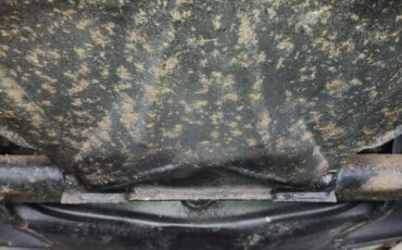 Volkswagen-Beetle-1964-16