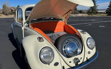 Volkswagen-Beetle-1965-custom-11