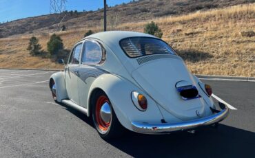 Volkswagen-Beetle-1965-custom-3
