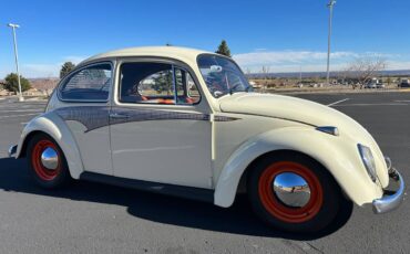 Volkswagen-Beetle-1965-custom