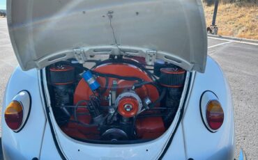 Volkswagen-Beetle-1965-custom-5