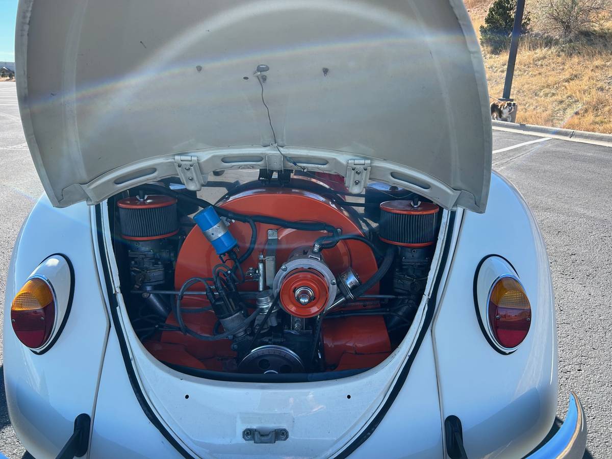 Volkswagen-Beetle-1965-custom-5