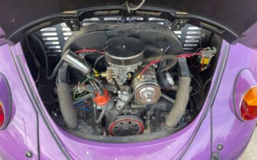 Volkswagen-Beetle-1966-16