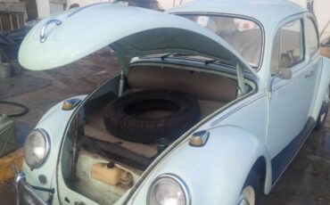Volkswagen-Beetle-1966-Green-5