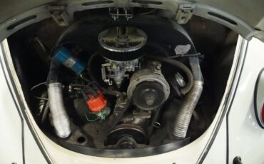 Volkswagen-Beetle-1966-White-Sand-Burgundy-8
