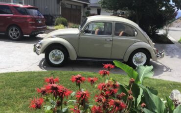 Volkswagen-Beetle-1967-brown-1