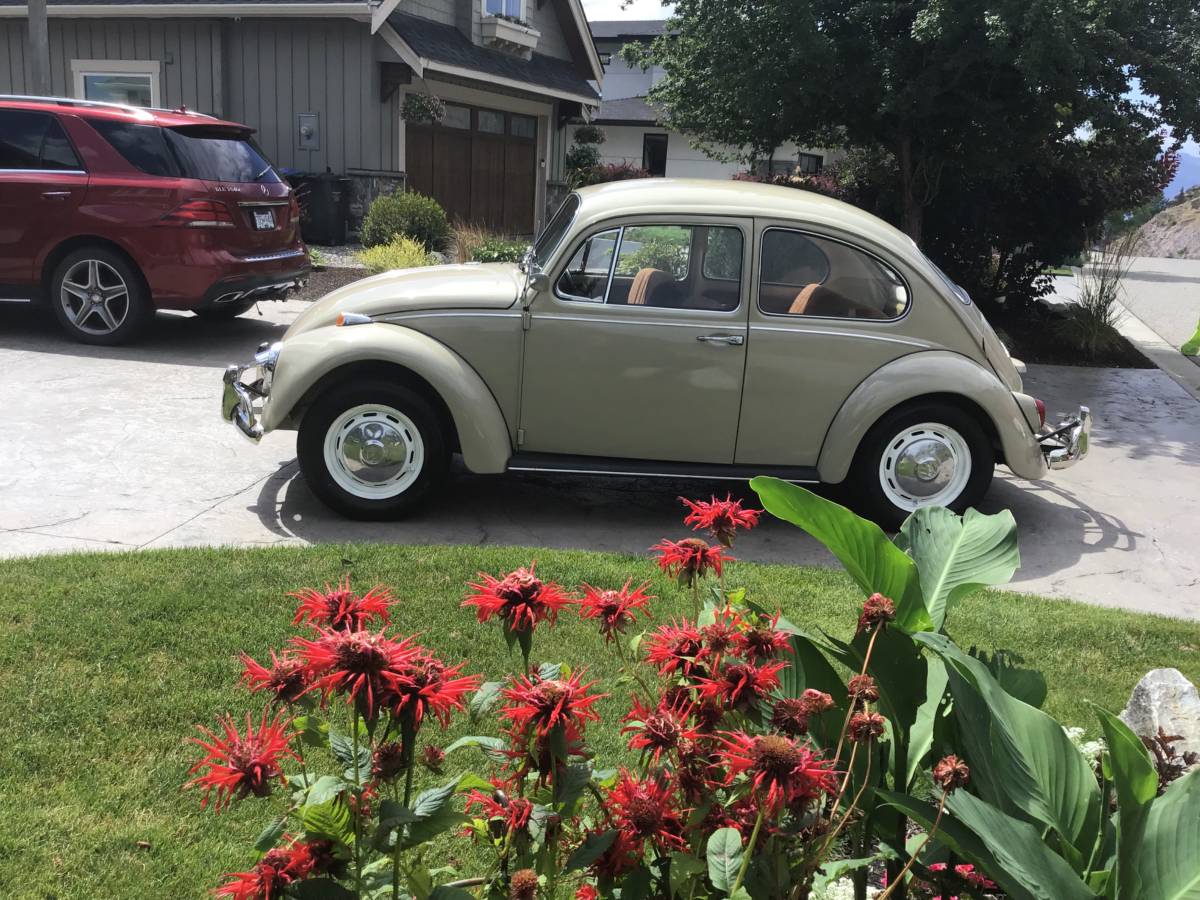 Volkswagen-Beetle-1967-brown-1
