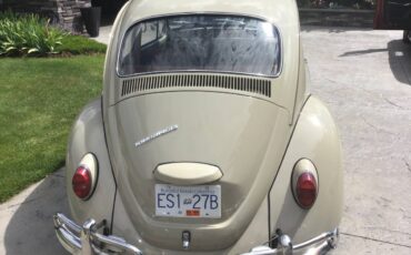Volkswagen-Beetle-1967-brown-10