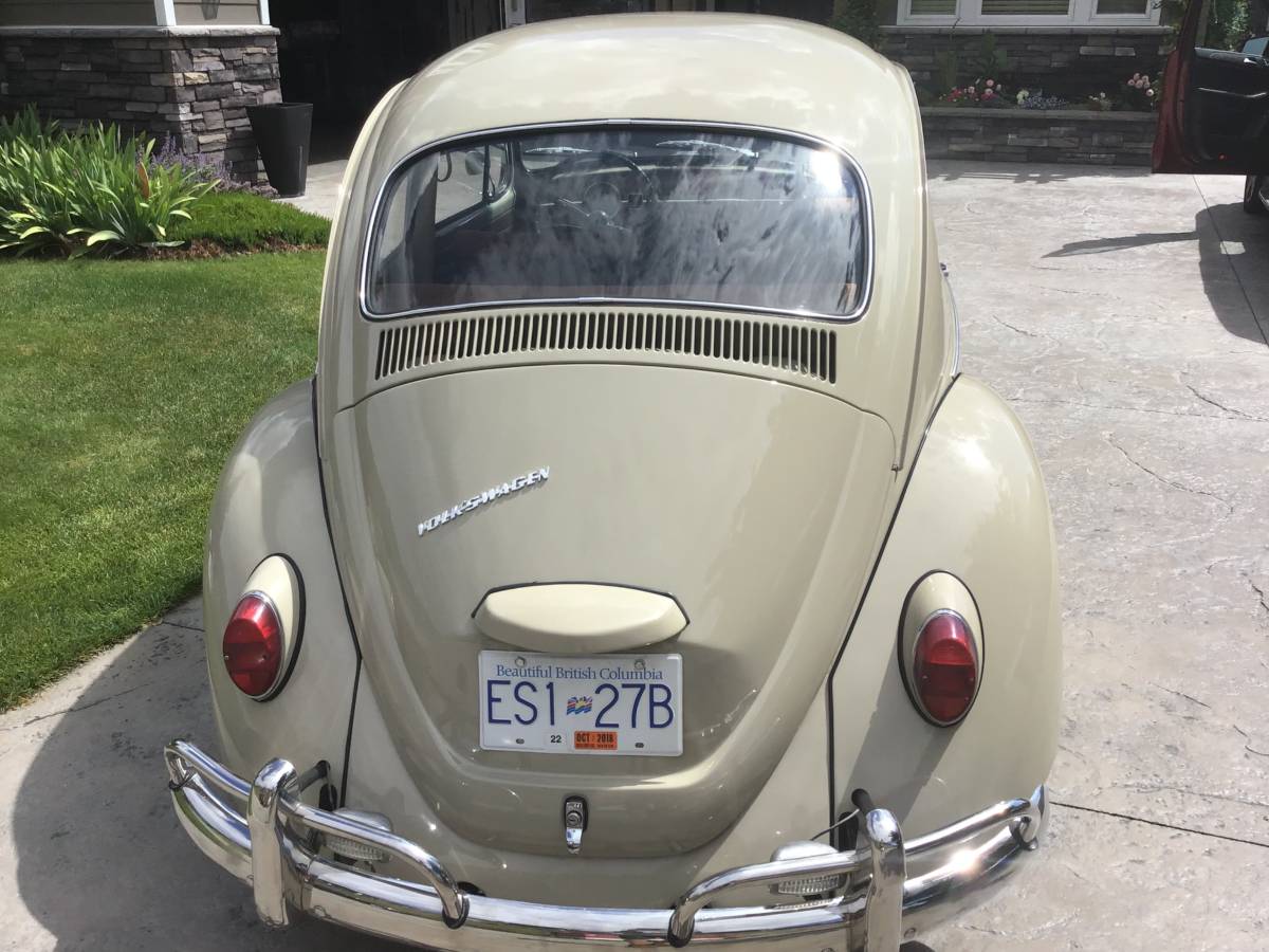 Volkswagen-Beetle-1967-brown-10