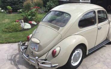 Volkswagen-Beetle-1967-brown-2