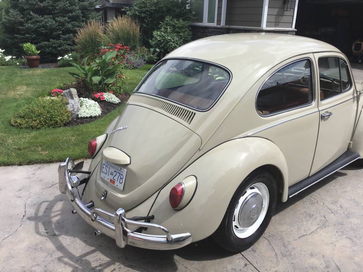 Volkswagen-Beetle-1967-brown-2