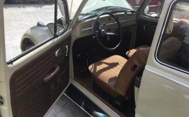 Volkswagen-Beetle-1967-brown-5