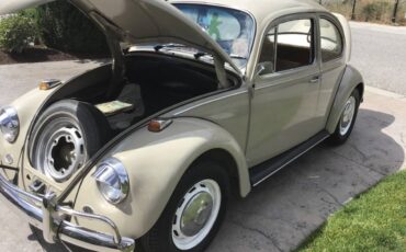 Volkswagen-Beetle-1967-brown-6