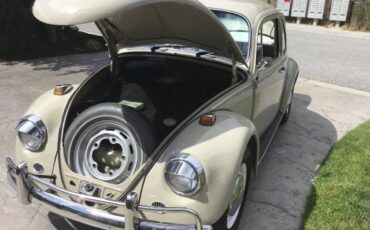 Volkswagen-Beetle-1967-brown-9