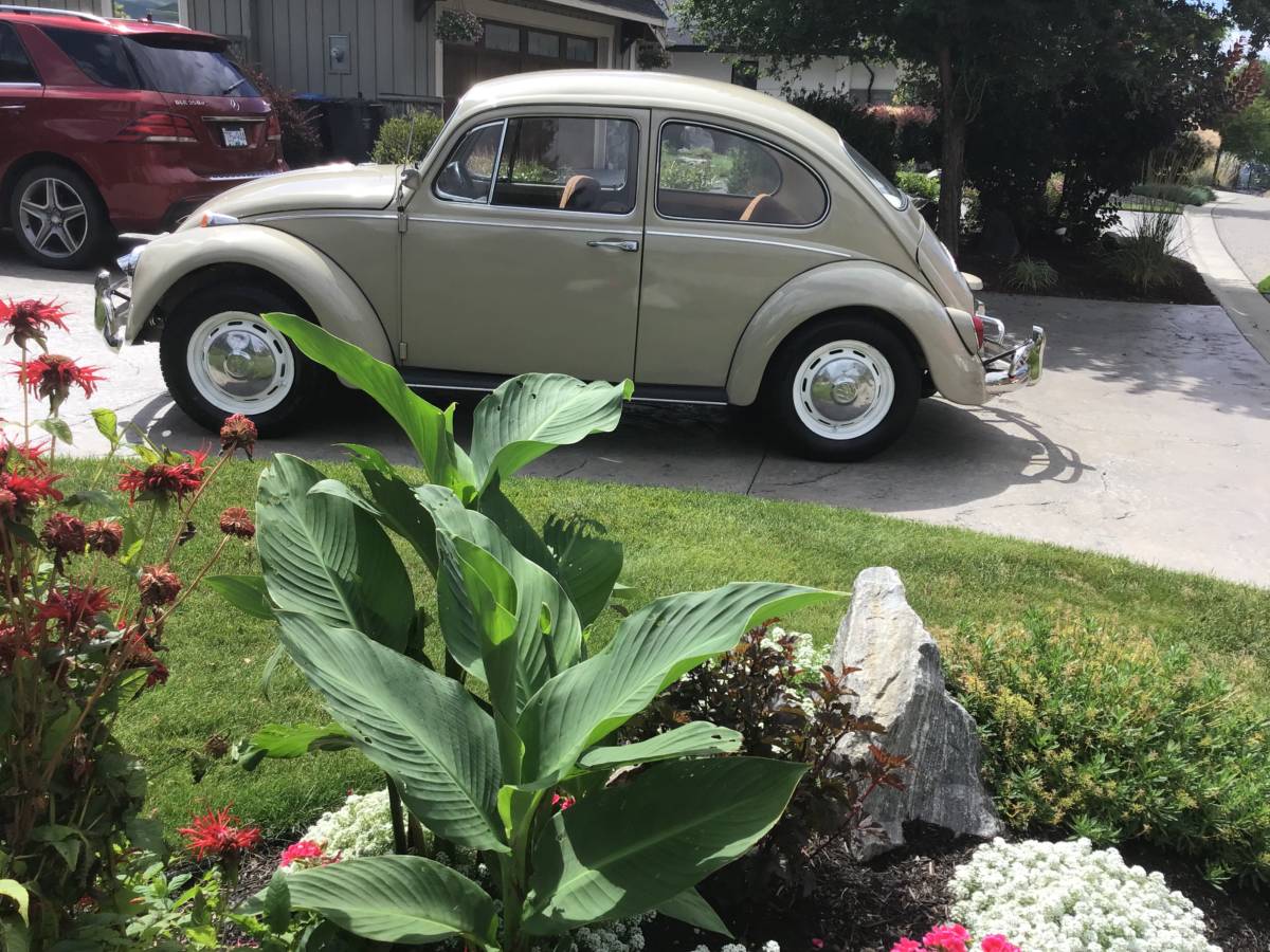 Volkswagen-Beetle-1967-brown