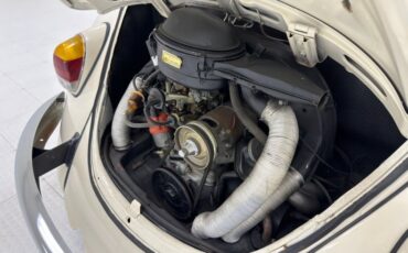 Volkswagen-Beetle-1968-Ivory-Black-3