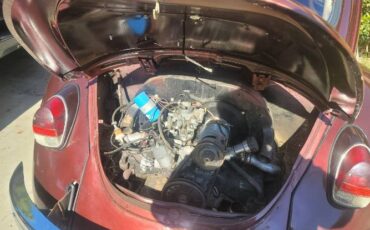 Volkswagen-Beetle-1969-Custom-3