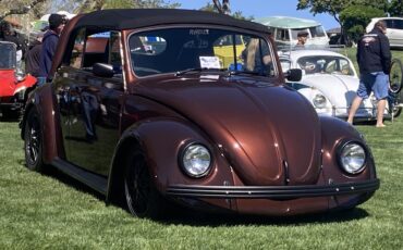 Volkswagen-Beetle-1970-ROOTBEER-BROWN-AVANTE-BLACK-40