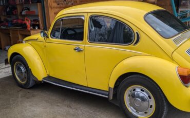 Volkswagen-Beetle-1974-1
