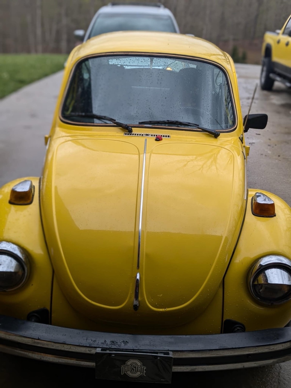 Volkswagen-Beetle-1974-2