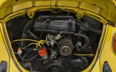 Volkswagen-Beetle-1974-6