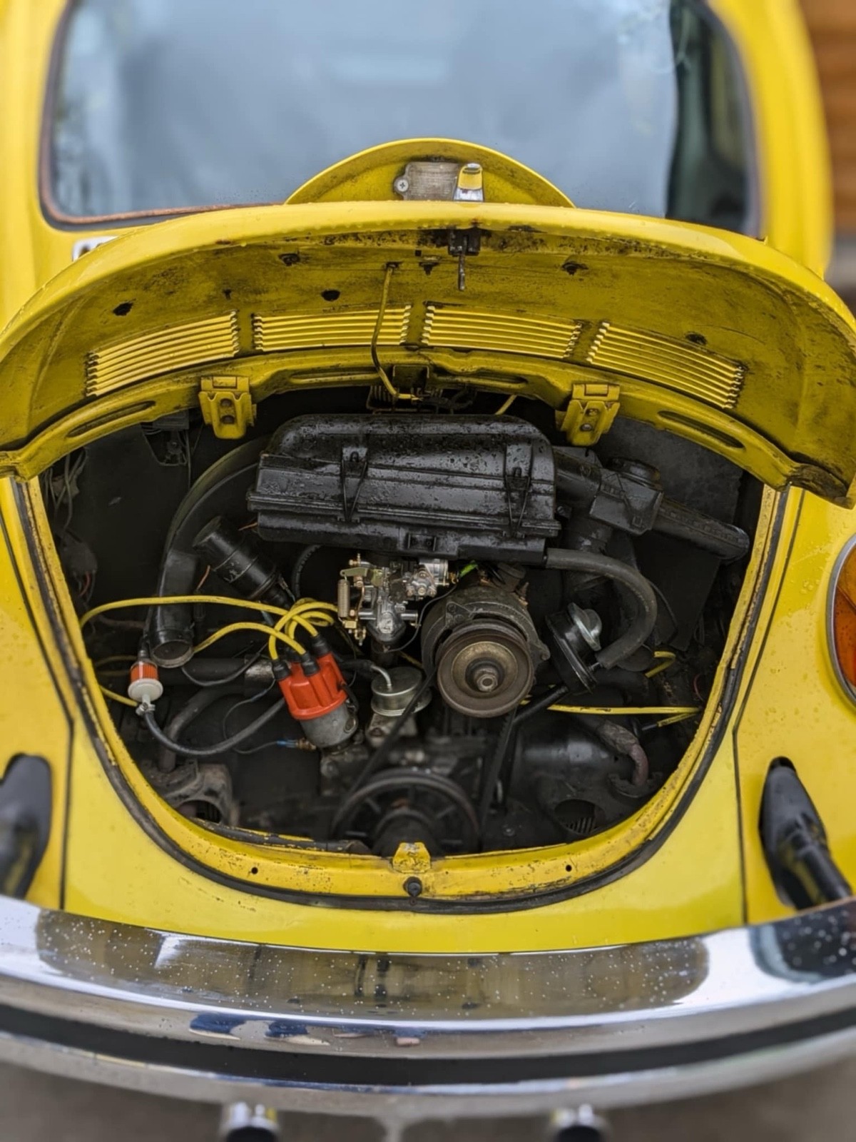 Volkswagen-Beetle-1974-6