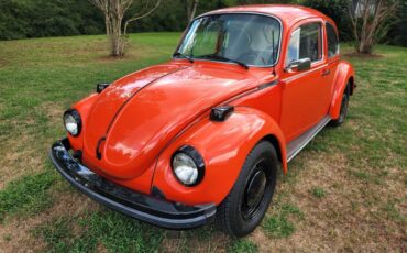 Volkswagen-Beetle-1974-Competition-Orange-light-grayblack-31