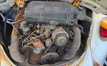 Volkswagen-Beetle-1975-8