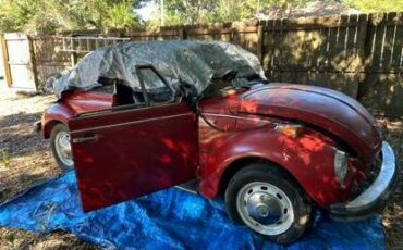 Volkswagen-Beetle-1976-Red-2