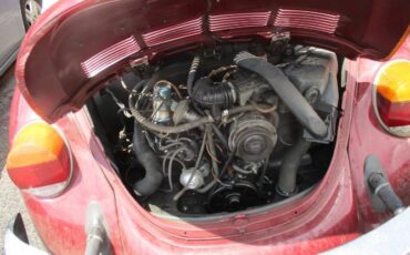 Volkswagen-Beetle-1977-BurgundyWhite-Top-1