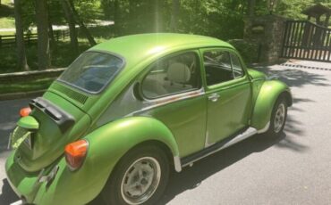 Volkswagen-Beetle-1977-Green-White-1